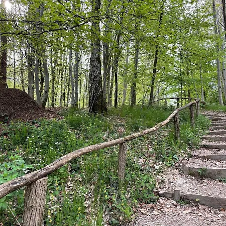 アパート Orchidee