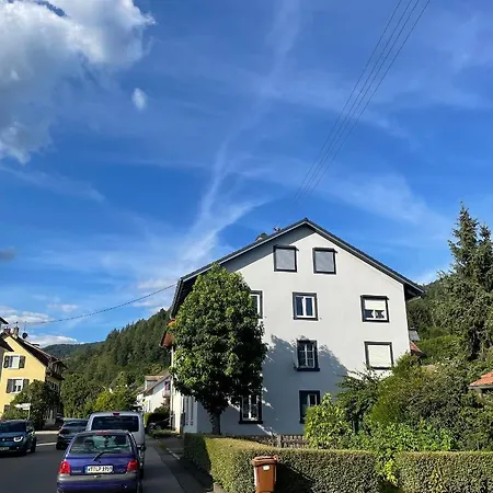 Apartment Wehr Orchidee