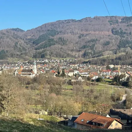 Wehr Orchidee Wehr (Baden-Wurttemberg)