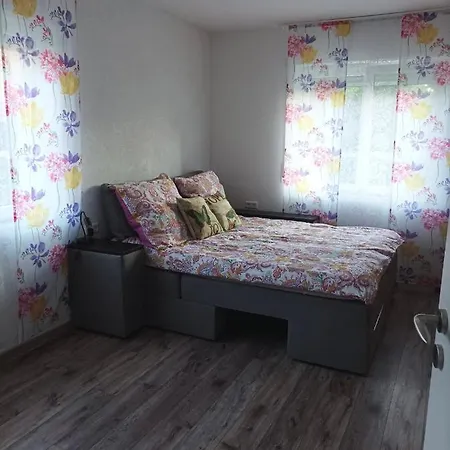 Apartment Wehr Orchidee
