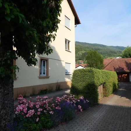 Wehr Orchidee Apartment *