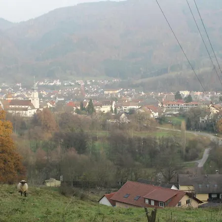 Orchidee アパート Wehr