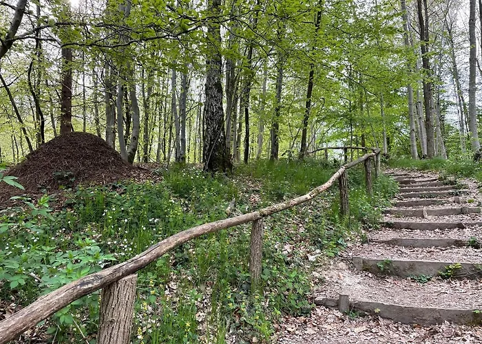 Appartement Orchidee