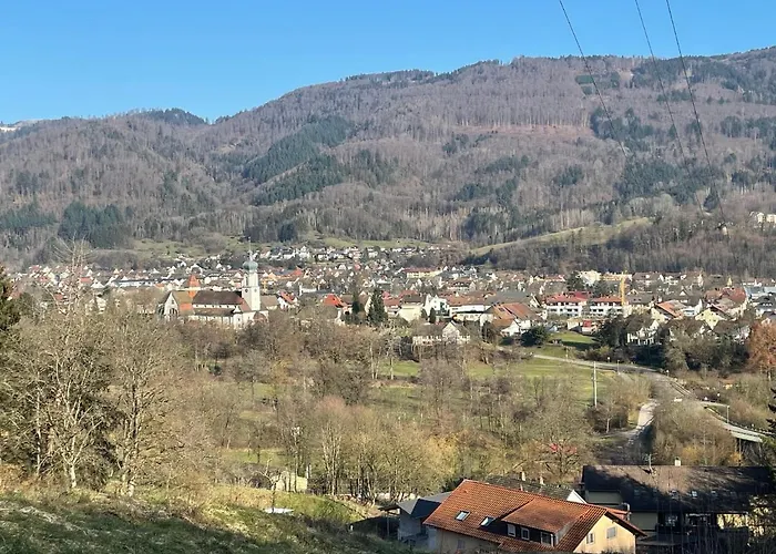 Orchidee Wehr (Baden-Wurttemberg)