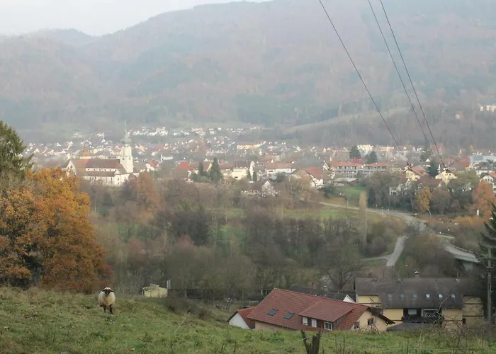 Orchidee Appartement Wehr (Baden-Wurttemberg)